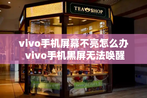 vivo手机屏幕不亮怎么办 vivo手机黑屏无法唤醒