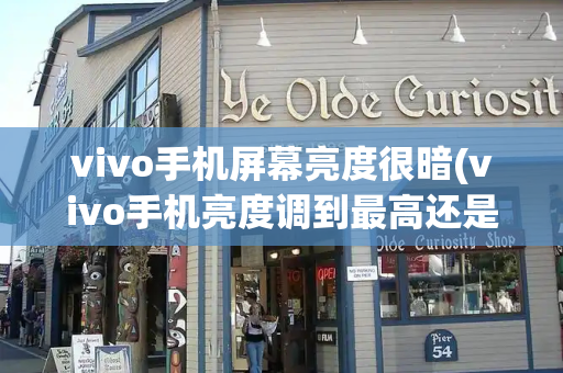 vivo手机屏幕亮度很暗(vivo手机亮度调到最高还是很暗)