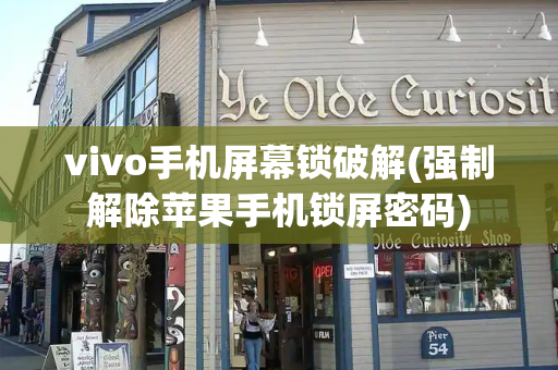 vivo手机屏幕锁破解(强制解除苹果手机锁屏密码)-第1张图片-星选测评