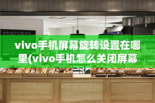 vivo手机屏幕旋转设置在哪里(vivo手机怎么关闭屏幕旋转)-第1张图片-星选测评