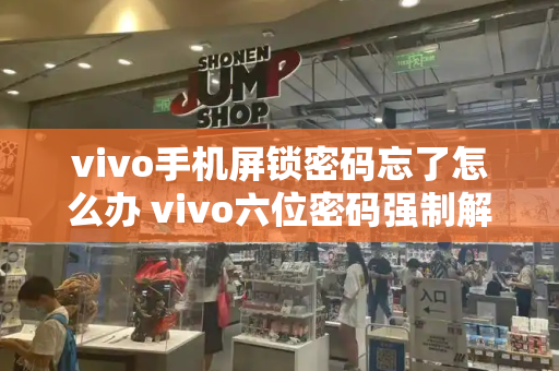 vivo手机屏锁密码忘了怎么办 vivo六位密码强制解锁