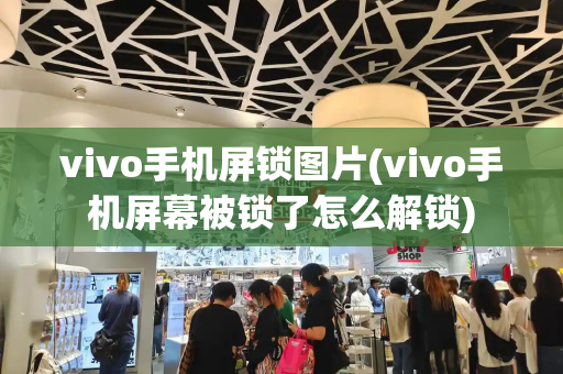 vivo手机屏锁图片(vivo手机屏幕被锁了怎么解锁)-第1张图片-星选测评