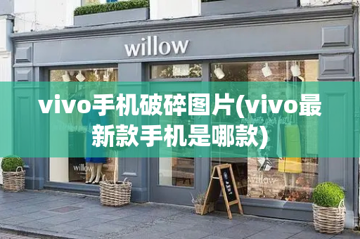 vivo手机破碎图片(vivo最新款手机是哪款)-第1张图片-星选测评