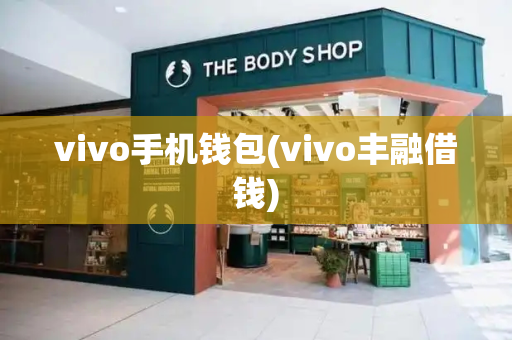 vivo手机钱包(vivo丰融借钱)-第1张图片-星选测评