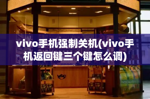 vivo手机强制关机(vivo手机返回键三个键怎么调)