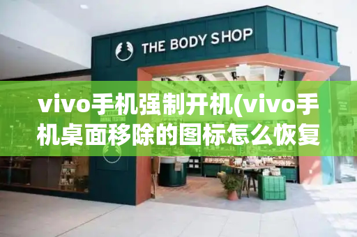 vivo手机强制开机(vivo手机桌面移除的图标怎么恢复)-第1张图片-星选测评