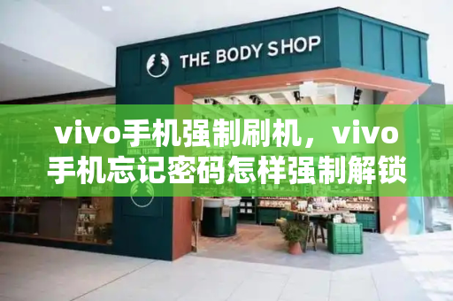 vivo手机强制刷机，vivo手机忘记密码怎样强制解锁-第1张图片-星选测评
