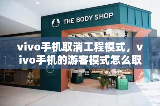 vivo手机取消工程模式，vivo手机的游客模式怎么取消