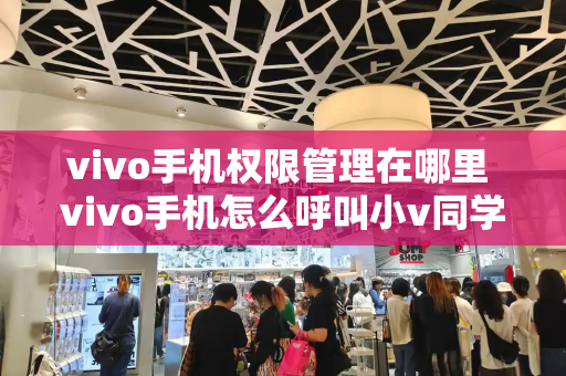 vivo手机权限管理在哪里 vivo手机怎么呼叫小v同学