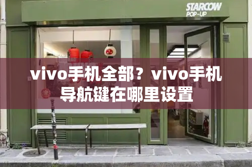 vivo手机全部？vivo手机导航键在哪里设置