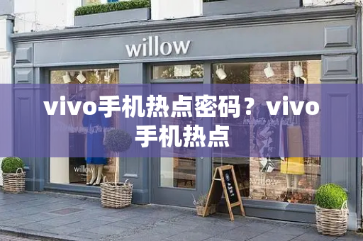 vivo手机热点密码？vivo手机热点