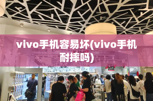 vivo手机容易坏(vivo手机耐摔吗)