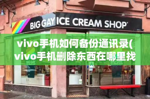 vivo手机如何备份通讯录(vivo手机删除东西在哪里找)-第1张图片-星选测评