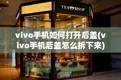 vivo手机如何打开后盖(vivo手机后盖怎么拆下来)-第1张图片-星选测评