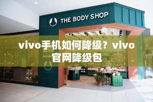 vivo手机如何降级？vivo官网降级包