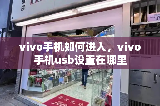 vivo手机如何进入，vivo手机usb设置在哪里