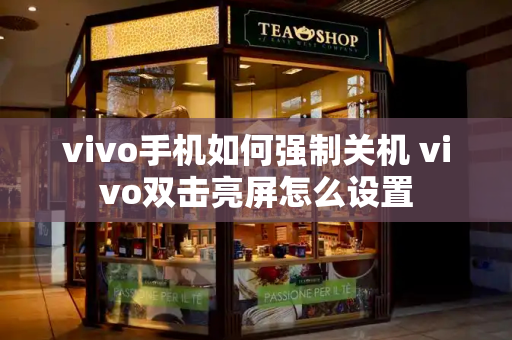 vivo手机如何强制关机 vivo双击亮屏怎么设置-第1张图片-星选测评
