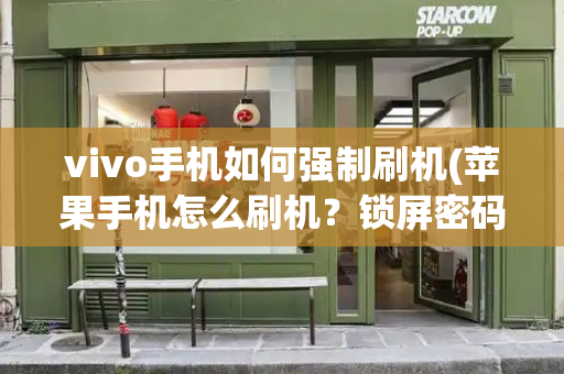 vivo手机如何强制刷机(苹果手机怎么刷机？锁屏密码忘了)-第1张图片-星选测评