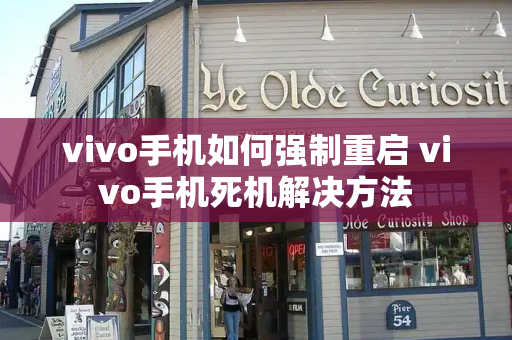vivo手机如何强制重启 vivo手机死机解决方法