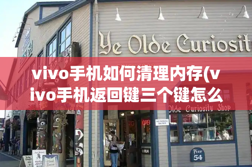 vivo手机如何清理内存(vivo手机返回键三个键怎么调)