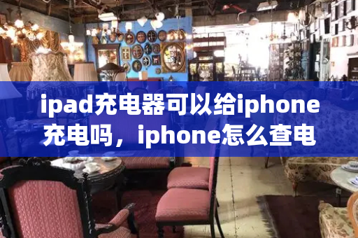 ipad充电器可以给iphone充电吗，iphone怎么查电池循环次数