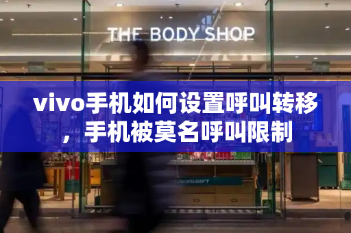 vivo手机如何设置呼叫转移，手机被莫名呼叫限制-第1张图片-星选测评