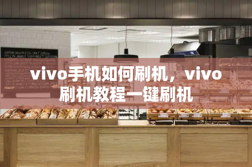vivo手机如何刷机，vivo刷机教程一键刷机-第1张图片-星选测评