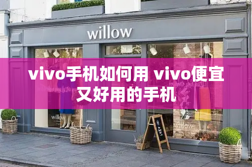 vivo手机如何用 vivo便宜又好用的手机-第1张图片-星选测评