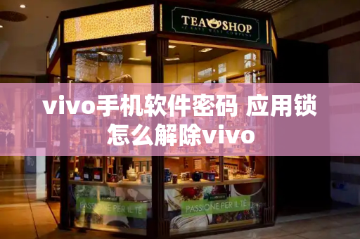 vivo手机软件密码 应用锁怎么解除vivo