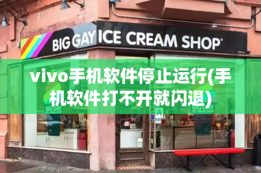 vivo手机软件停止运行(手机软件打不开就闪退)