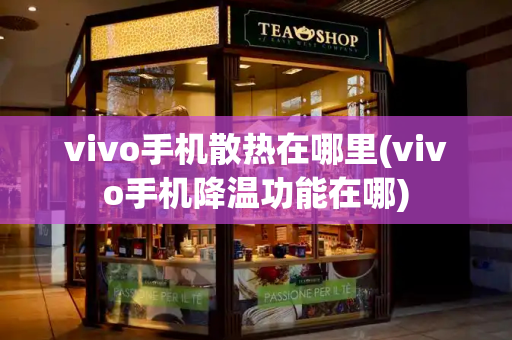 vivo手机散热在哪里(vivo手机降温功能在哪)-第1张图片-星选测评