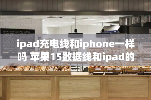 ipad充电线和iphone一样吗 苹果15数据线和ipad的一样吗-第1张图片-星选测评