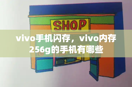 vivo手机闪存，vivo内存256g的手机有哪些