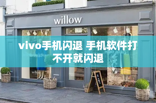 vivo手机闪退 手机软件打不开就闪退