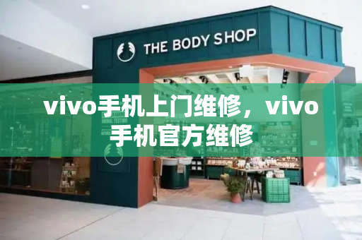 vivo手机上门维修，vivo手机官方维修-第1张图片-星选测评