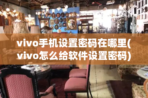 vivo手机设置密码在哪里(vivo怎么给软件设置密码)-第1张图片-星选测评