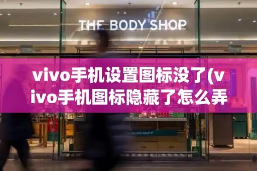 vivo手机设置图标没了(vivo手机图标隐藏了怎么弄出来)