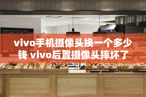 vivo手机摄像头换一个多少钱 vivo后置摄像头摔坏了能修吗-第1张图片-星选测评