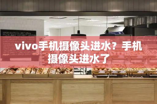 vivo手机摄像头进水？手机摄像头进水了-第1张图片-星选测评
