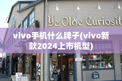 vivo手机什么牌子(vivo新款2024上市机型)