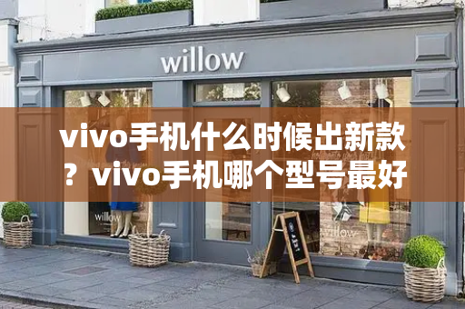 vivo手机什么时候出新款？vivo手机哪个型号最好-第1张图片-星选测评