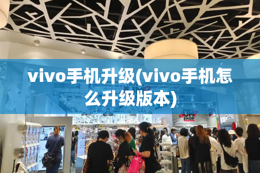 vivo手机升级(vivo手机怎么升级版本)-第1张图片-星选测评