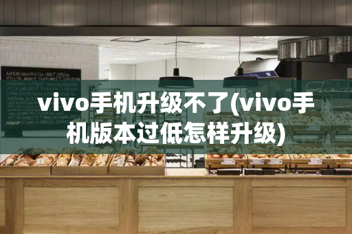 vivo手机升级不了(vivo手机版本过低怎样升级)-第1张图片-星选测评