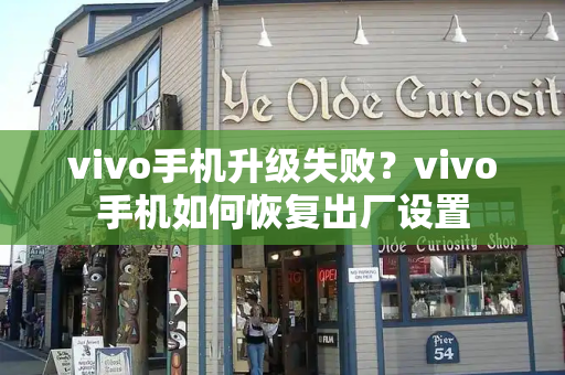 vivo手机升级失败？vivo手机如何恢复出厂设置-第1张图片-星选测评
