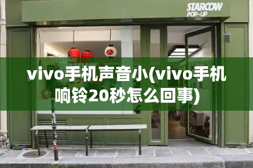 vivo手机声音小(vivo手机响铃20秒怎么回事)-第1张图片-星选测评