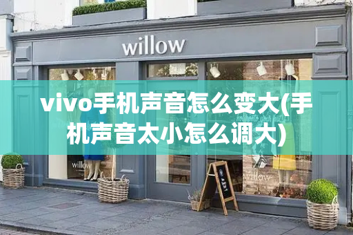 vivo手机声音怎么变大(手机声音太小怎么调大)