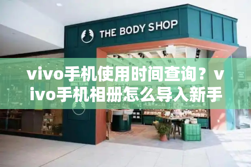 vivo手机使用时间查询？vivo手机相册怎么导入新手机-第1张图片-星选测评