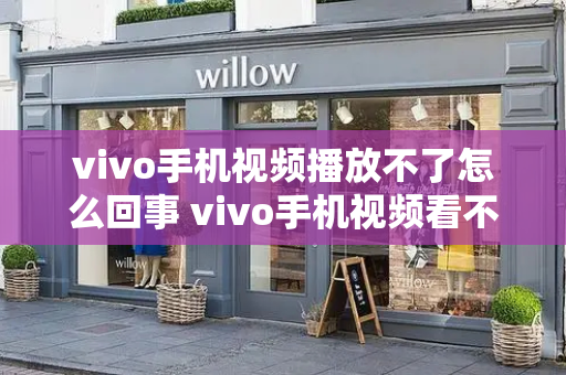 vivo手机视频播放不了怎么回事 vivo手机视频看不了咋回事