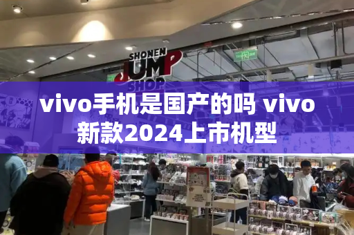 vivo手机是国产的吗 vivo新款2024上市机型-第1张图片-星选测评
