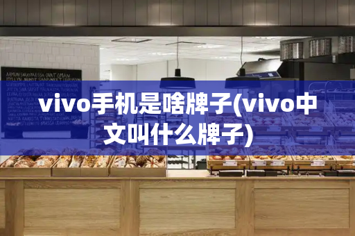 vivo手机是啥牌子(vivo中文叫什么牌子)-第1张图片-星选测评